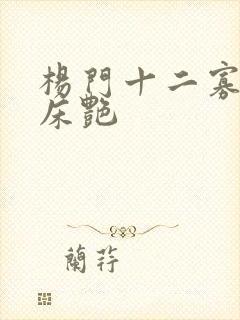 杨门十二寡妇肉床艳