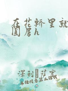 在花轿里就开始圆房h