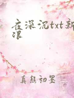 夜深沉txt新浪