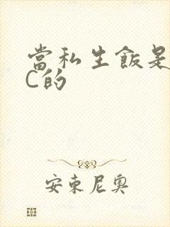 当私生饭是要挨C的