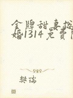 金牌甜妻总裁宠婚1314免费阅读