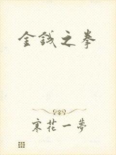 金钱之拳