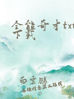全能奇才txt下载