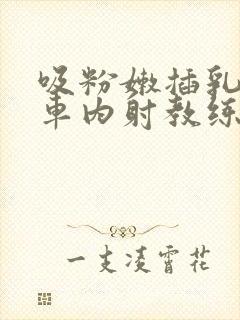 吸粉嫩插乳头公车内射教练