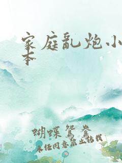 家庭乱炮小说全本