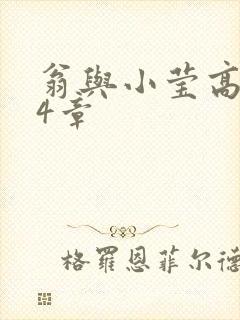 翁与小莹高潮24章