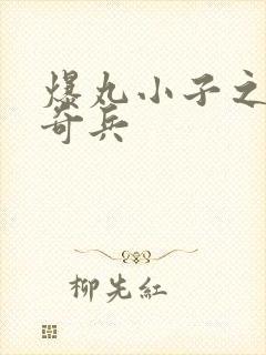 爆丸小子之圣石奇兵