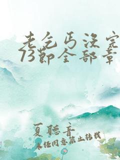 老乞丐没完没了73节全部章节内容