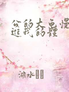 公的大龟慢慢挺进我的体