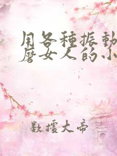 用各种振动器折磨女人的小说