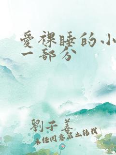 爱裸睡的小丹第一部分