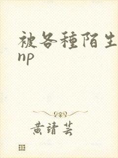 被各种陌生人 np