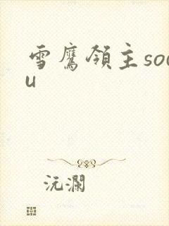 雪鹰领主sodu