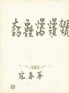 大龟慢慢挺进我的体内视频