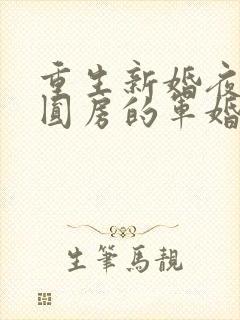 重生新婚夜正在圆房的军婚小说