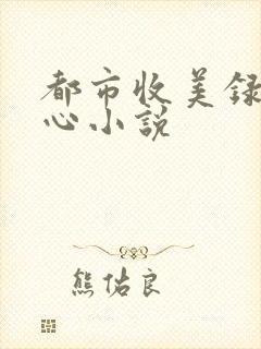 都市收美录宁素心小说
