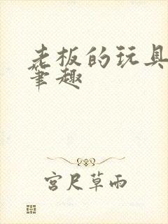 老板的玩具小米笔趣