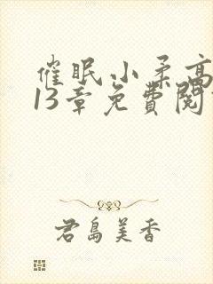 催眠小柔高达第13章免费阅读