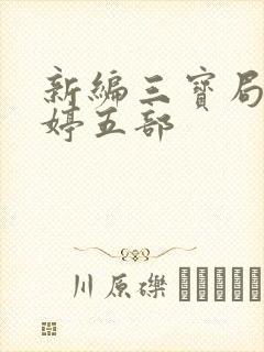新编三宝局长许婷五部
