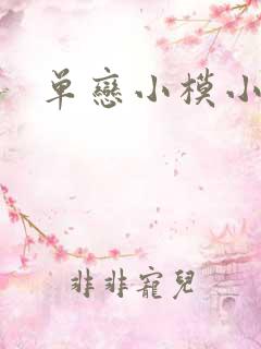 单恋小模小样