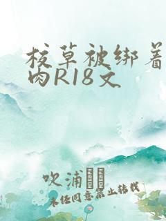 校草被绑着玩纯肉R18文