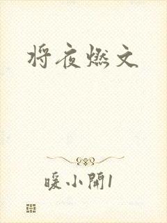 将夜燃文