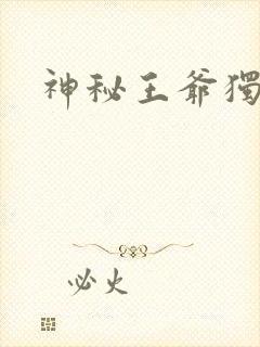 神秘王爷独宠妃