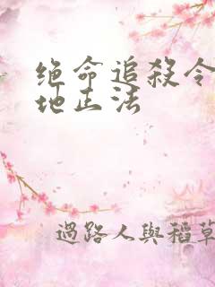 绝命追杀令2就地正法