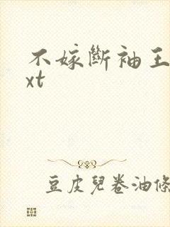 不嫁断袖王爷txt