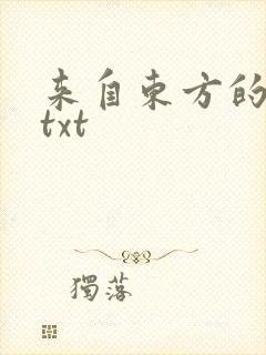 来自东方的骑士txt