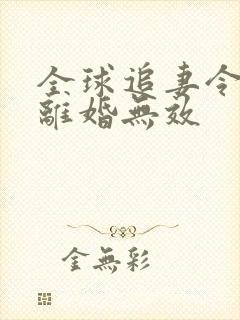 全球追妻令老婆离婚无效