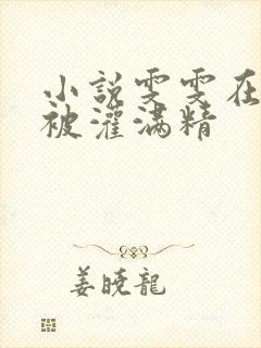 小说雯雯在工地被灌满精