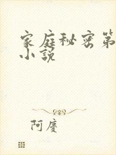 家庭秘密第3集小说
