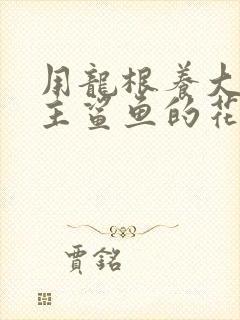 用龙根养大的公主鲨鱼的花