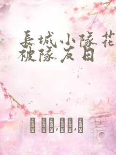 长城小队花木兰被队友日