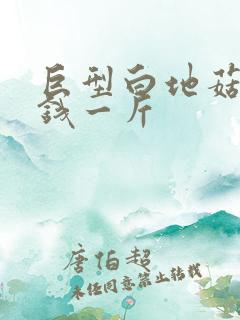 巨型白地菇多少钱一斤