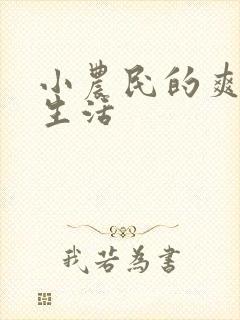 小农民的爽歪歪生活