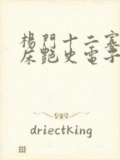 杨门十二寡妇肉床艳史电子书