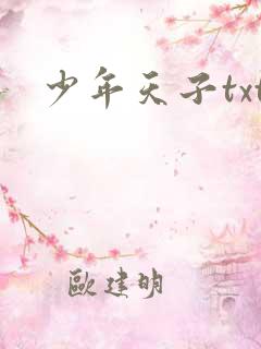 少年天子txt