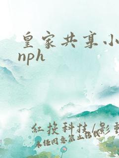 皇家共享小公主nph