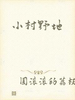 小村野地