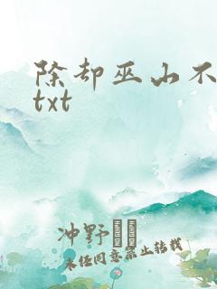 除却巫山不是云txt