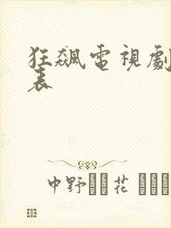 狂飙电视剧演员表