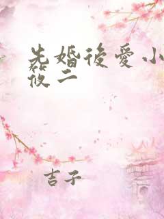 先婚后爱小说梦筱二