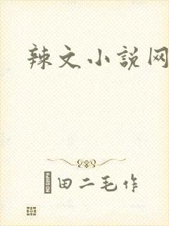 辣文小说网