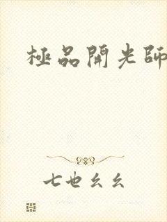 极品开光师阅读