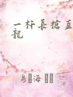 一杆长枪直捣黄龙