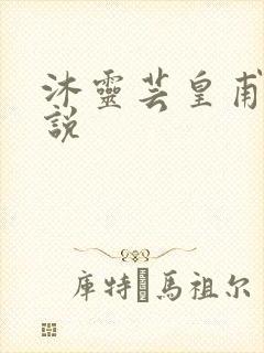 沐灵芸皇甫霆小说