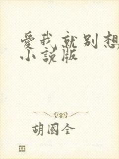 爱我就别想太多小说版