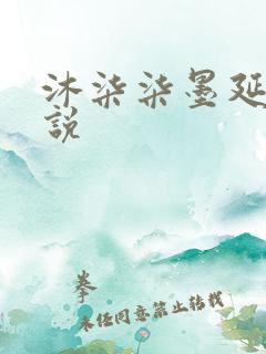 沐柒柒墨延爵小说